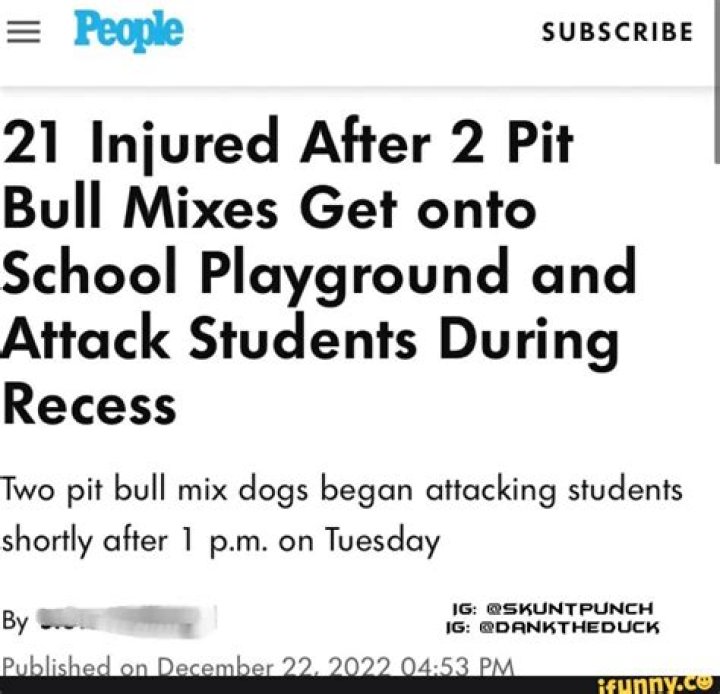 
21 Injured After 2 Pit Bull Mixes Get onto School Playground and Attack Students During Recess 