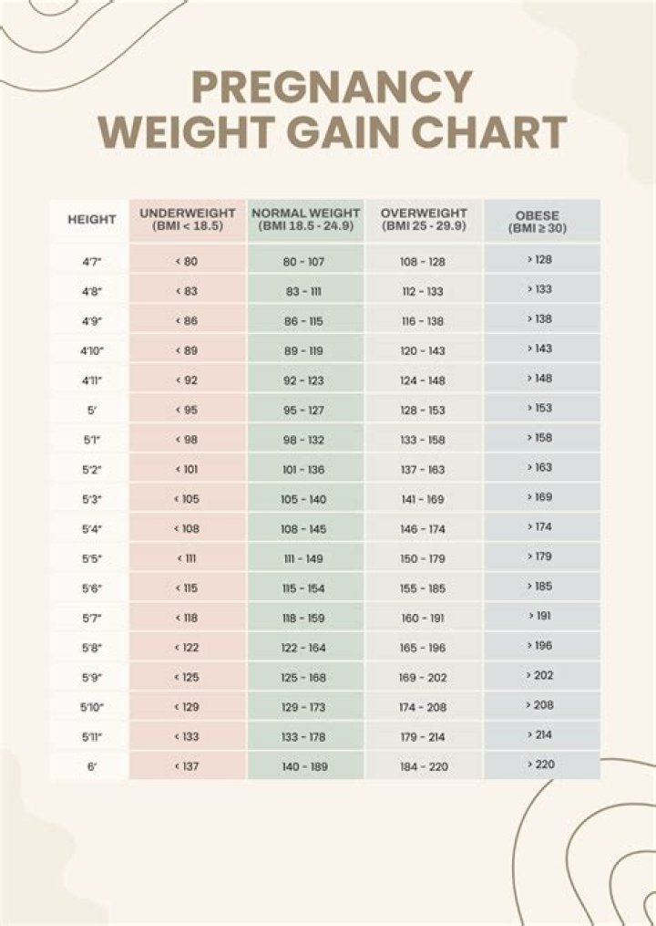 Cecily Strong Weight Gain And Pregnancy Facts Or Rumors Checked 2022