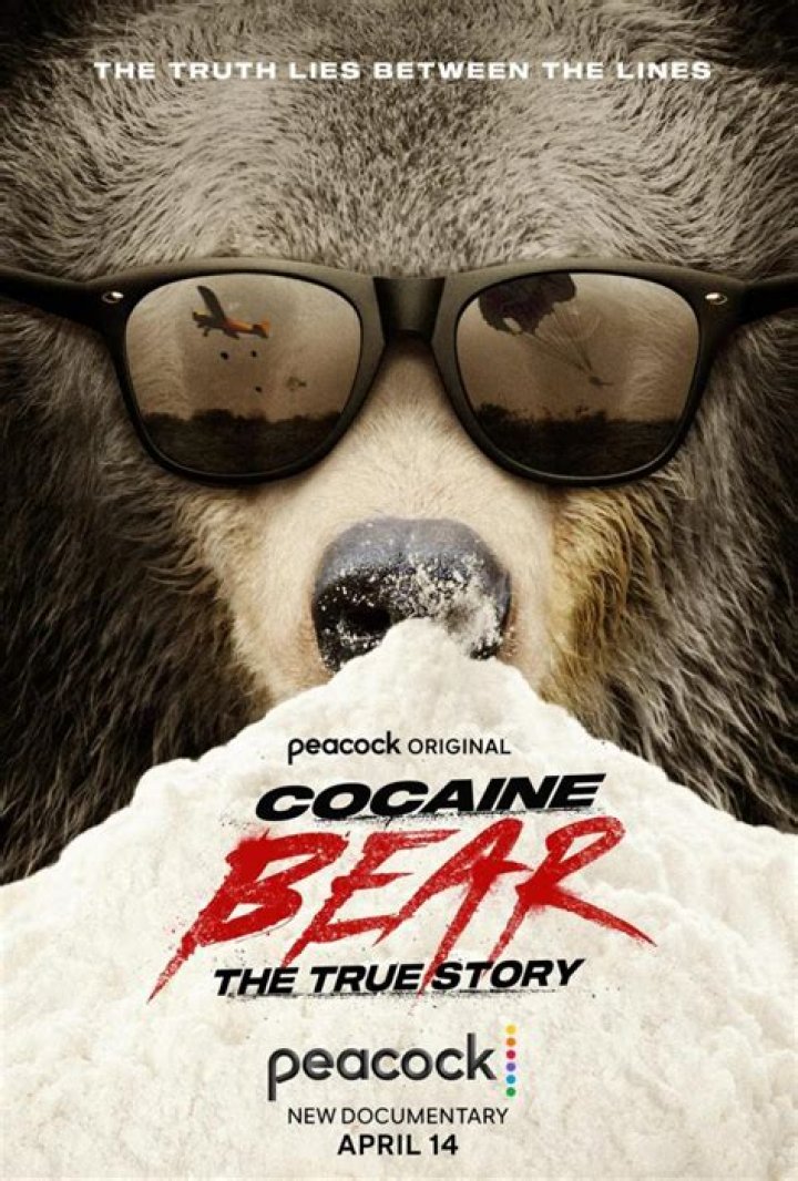 
Cocaine Bear Filming Location, Cast and Real Story Explained 