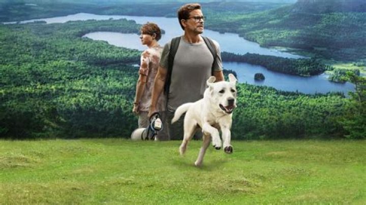 
“Dog Gone” Is Set To Released On Netflix 
