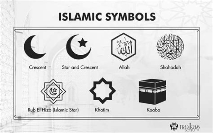 
Is Amanda Lemos Muslim? Religion And Ethnicity Background Of British MMA 