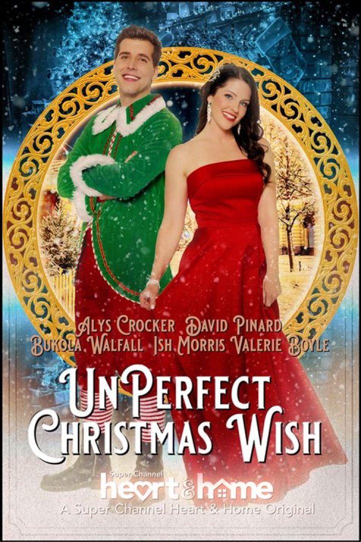 
Meet David Pinard From Unperfect Christmas Wish: Facts To Know About Him 