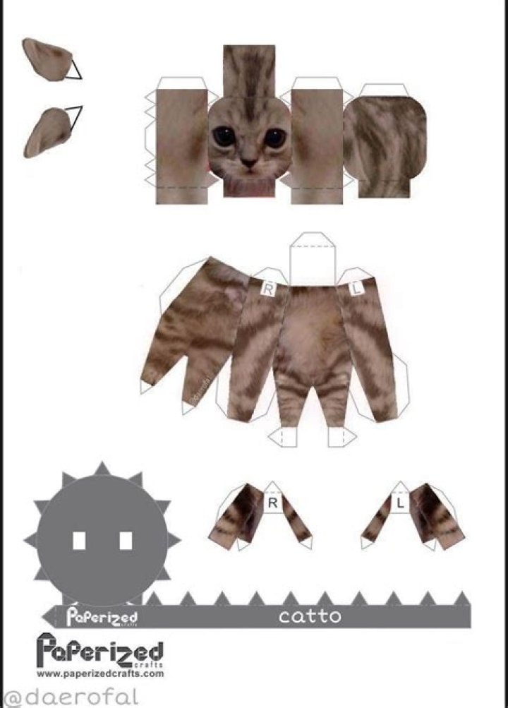 
Munchkin Kitty Papercraft Print TikTok Who Is El Gato Gomez Artist? 
