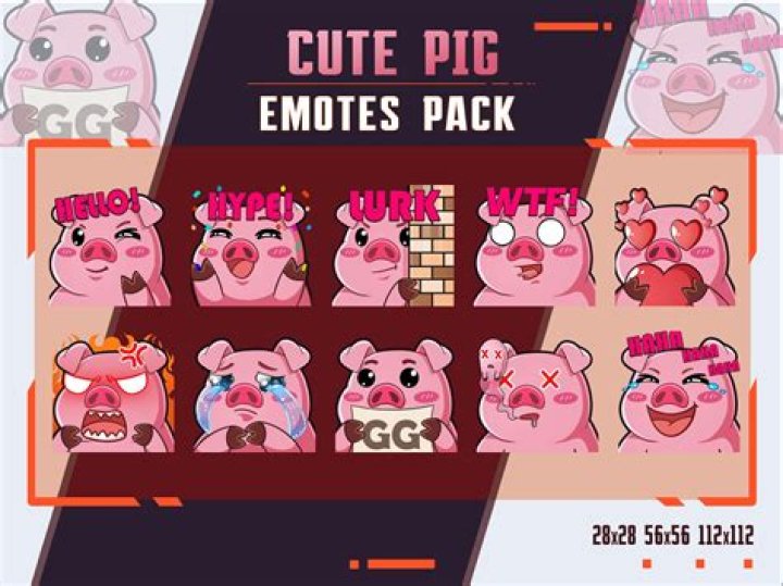 
Who is General Sam? Twitch streamer sent dead pig by fan, revealed in unboxing video 